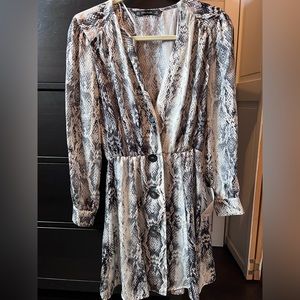 Zara Zebra Print Dress